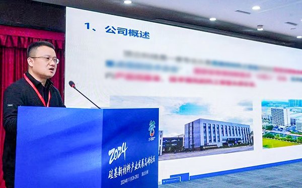 頂立科技參加硅基新材料高峰論壇，分享高純石英制備熱工裝備最新技術(shù)